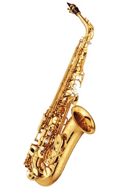 Es Alt saxofon Yamaha YAS 875EX 03