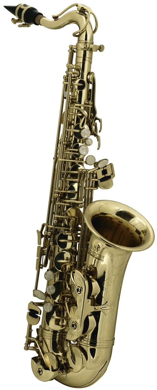 Es Alt saxofon pro děti Roy Benson AS-201