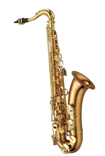 B tenor saxofon Yanagisawa T-WO2 Professional
