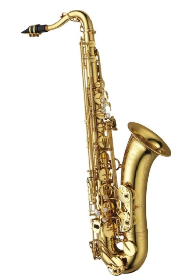 B tenor saxofon Yanagisawa T-WO10 Elite