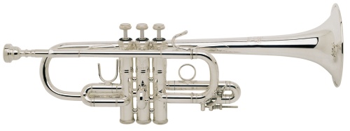 Vincent Bach D trubka D180L