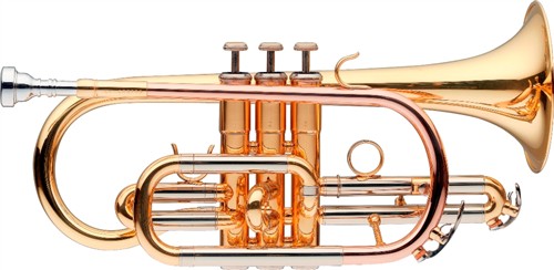 Levante B kornet perinetový LV-CR5205