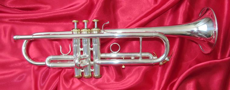  Primera, B trubka  F50149, zlato-stříbrná