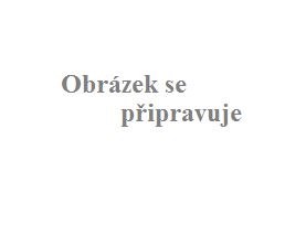 V. F. Červený B bas trubka CTR 792-4