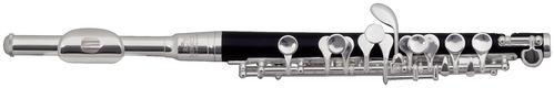 Příčná flétna Roy Benson PC-502