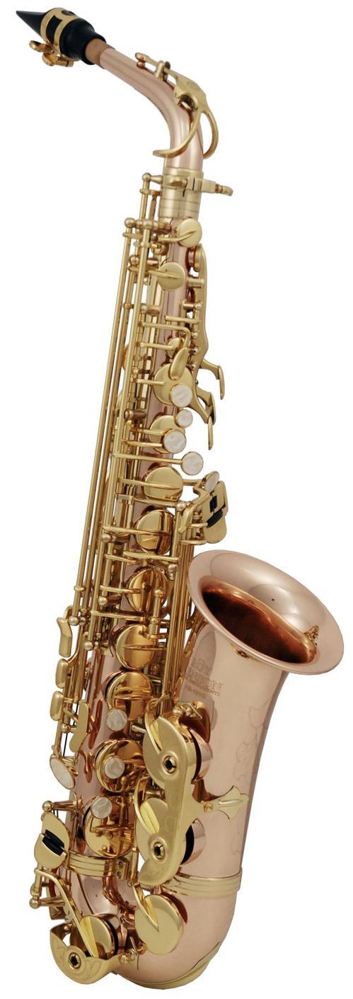 Es Alt saxofon Roy Benson AS-202G