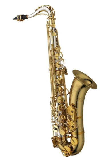 B tenor saxofon Yanagisawa T-WO30 Elite