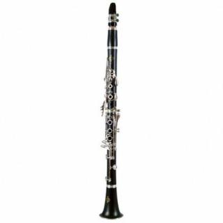 Buffet Crampon B klarinet RC
