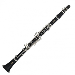 Yamaha B klarinet YCL 255ES