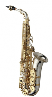 Es-Alt saxofon Yanagisawa A-WO37 Elite