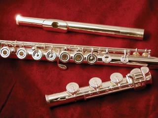 Příčná flétna Di Zhao DZ 701RBE